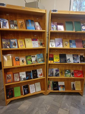 تازه رسیده ها